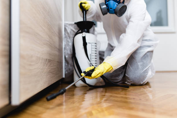 Pest Control for Restaurants in Brigantine, NJ