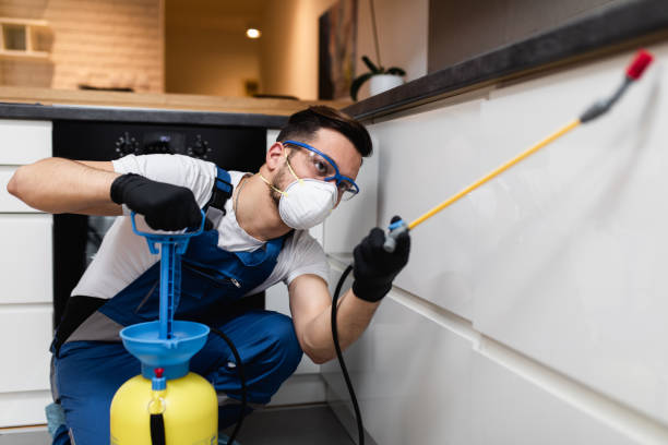 Best Cockroach Control Services  in Brigantine, NJ