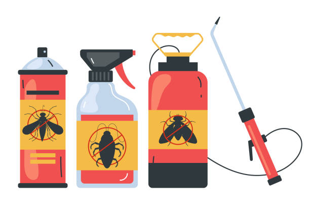 Best Pest Inspection Near Me  in Brigantine, NJ