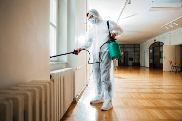 Best Affordable Pest Control Services  in Brigantine, NJ